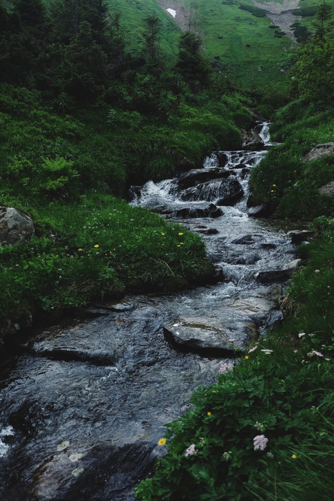 Psalm 42 Reflection Oasis International